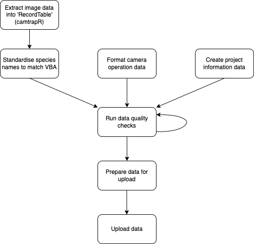 Steps to undertake when uploading camera trap data